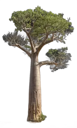 Imagen PNG para descargar